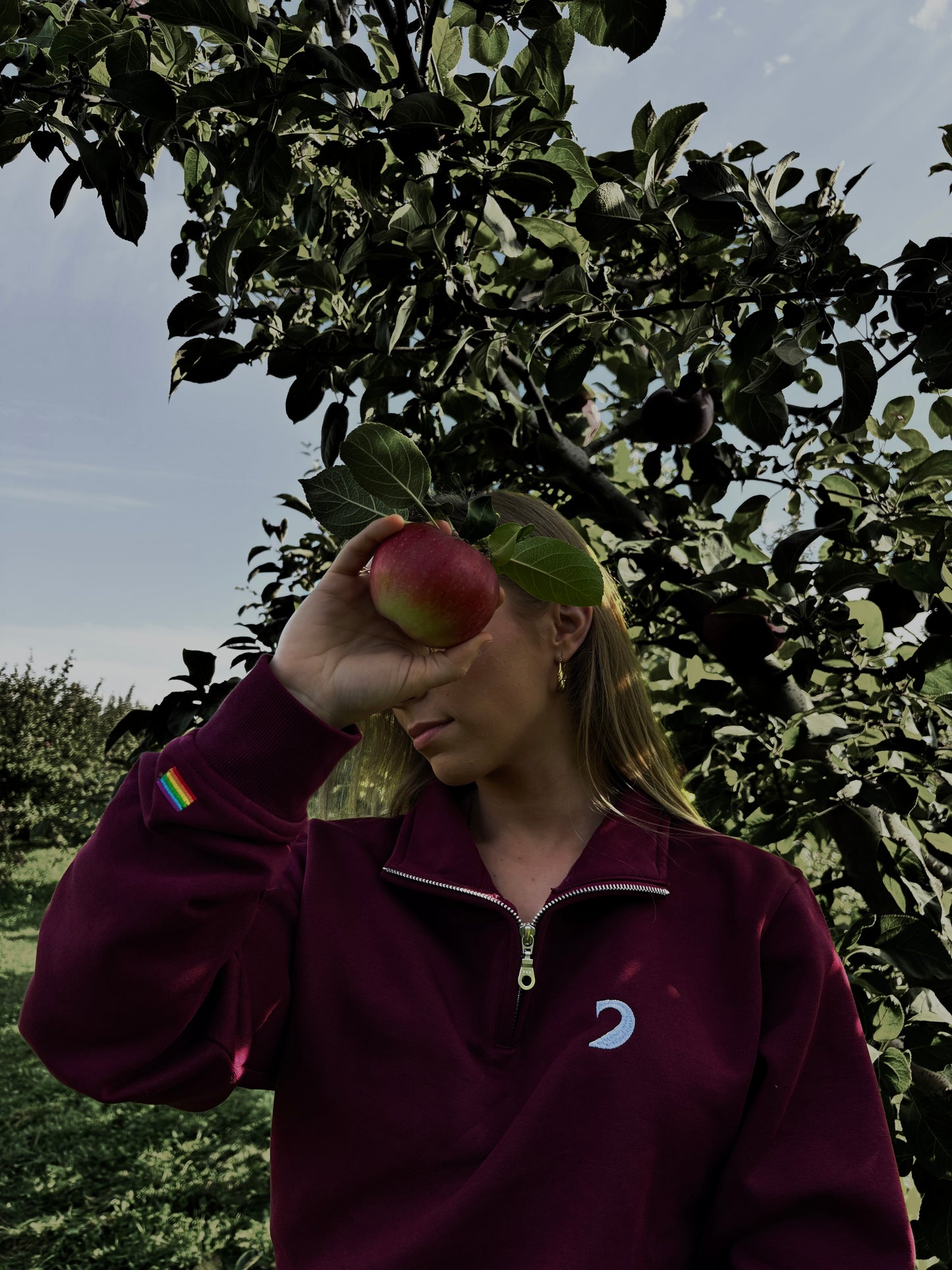1/4 ZIP SWEATSHIRT BURGUNDY